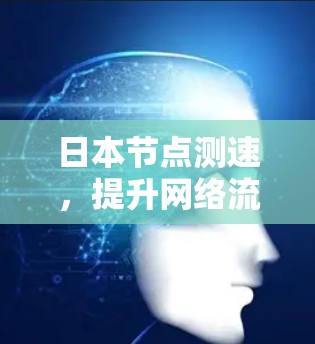 日本节点测速，提升网络流量实时监测的未来之光