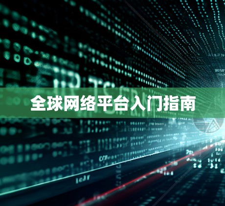 全球网络平台入门指南