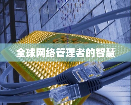全球网络管理者的智慧