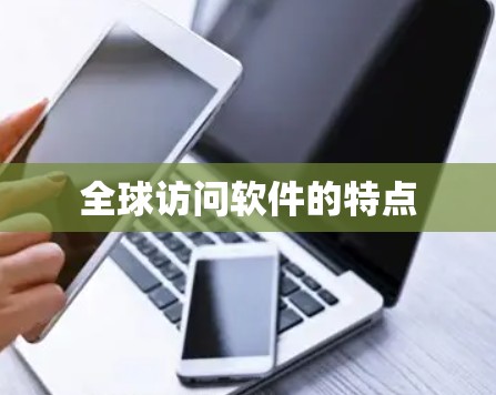 全球访问软件的特点