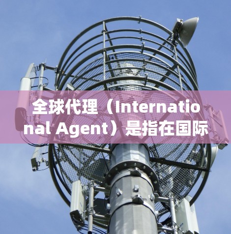 全球代理（International Agent）是指在国际市场上销售产品的代理，通常针对特定国家或特定客户群体。全球代理可以分为两种类型