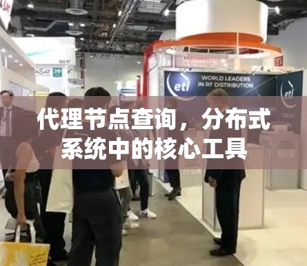 代理节点查询，分布式系统中的核心工具