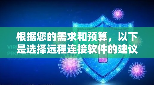 根据您的需求和预算，以下是选择远程连接软件的建议
