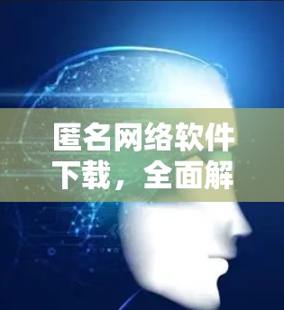 匿名网络软件下载，全面解析