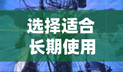 选择适合长期使用的VPN时，应综合考虑多个因素，以确保安全性和隐私保护。以下是几个关键步骤和建议