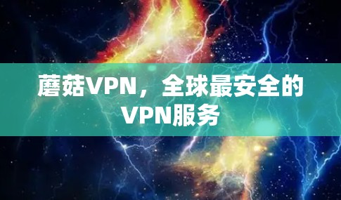 蘑菇VPN，全球最安全的VPN服务