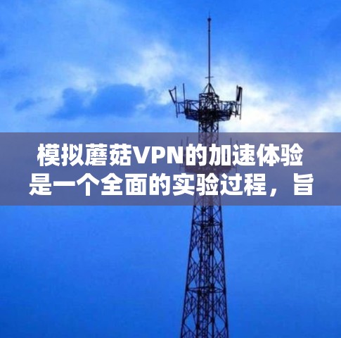 模拟蘑菇VPN的加速体验是一个全面的实验过程，旨在理解其网络连接的稳定性、延迟和响应速度等特性。以下是详细的步骤和建议