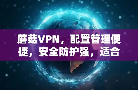 蘑菇VPN，配置管理便捷，安全防护强，适合用户