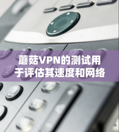 蘑菇VPN的测试用于评估其速度和网络稳定性。以下是详细的步骤和分析
