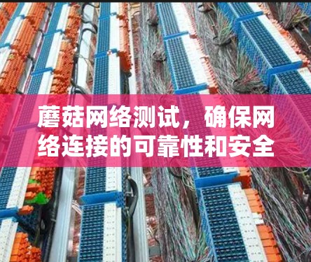 蘑菇网络测试，确保网络连接的可靠性和安全性
