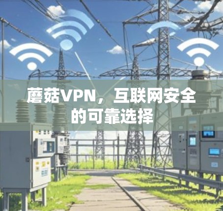 蘑菇VPN,互联网安全的可靠选择 蘑菇VPN,互联网安全的可靠选择
