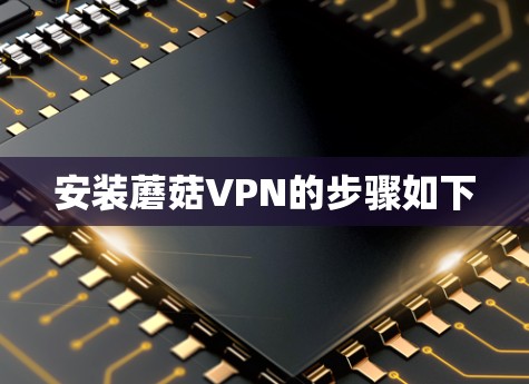 安装蘑菇VPN的步骤如下 安装蘑菇VPN的步骤如下