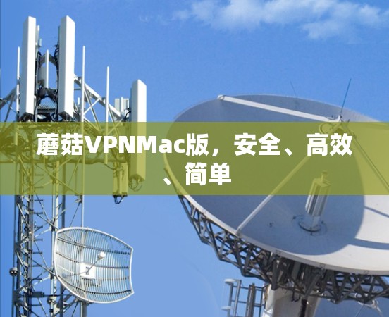蘑菇VPNMac版，安全、高效、简单