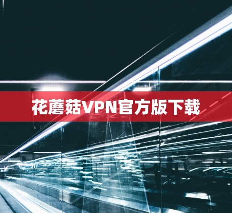 花蘑菇VPN官方版下载