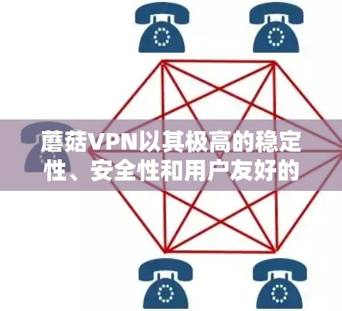蘑菇VPN以其极高的稳定性、安全性和用户友好的界面著称。它支持多语言，界面简洁直观，适合普通用户和专业人士使用