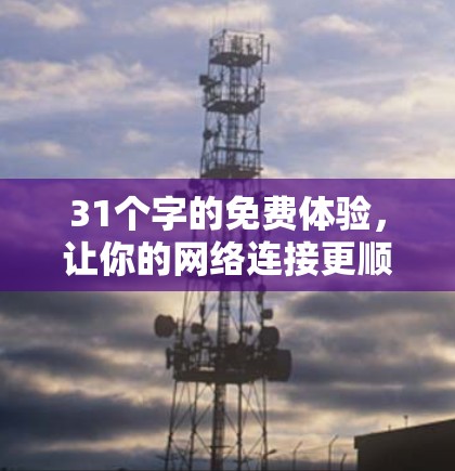 31个字的免费体验,让你的网络连接更顺畅 31个字的免费体验,让你的网络连接更顺畅