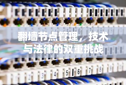翻墙节点管理，技术与法律的双重挑战