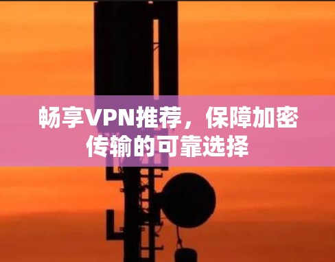 畅享VPN推荐，保障加密传输的可靠选择