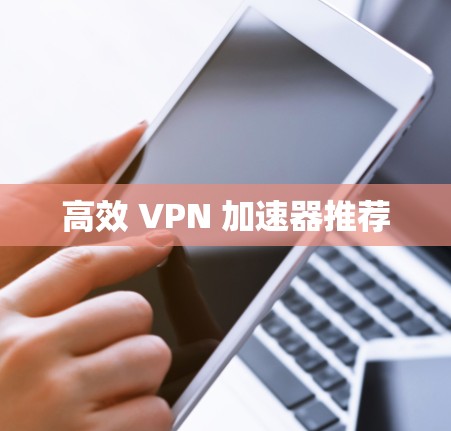 高效 VPN 加速器推荐