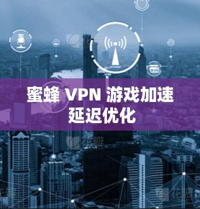 蜜蜂 VPN 游戏加速 延迟优化 蜜蜂 VPN 游戏加速 延迟优化