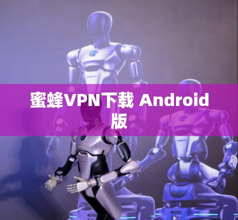 蜜蜂VPN下载 Android版