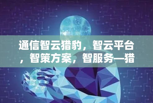 通信智云猎豹，智云平台，智策方案，智服务—猎豹VPN官网正版软件