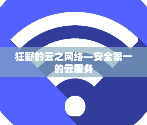狂野的云之网络—安全第一的云服务