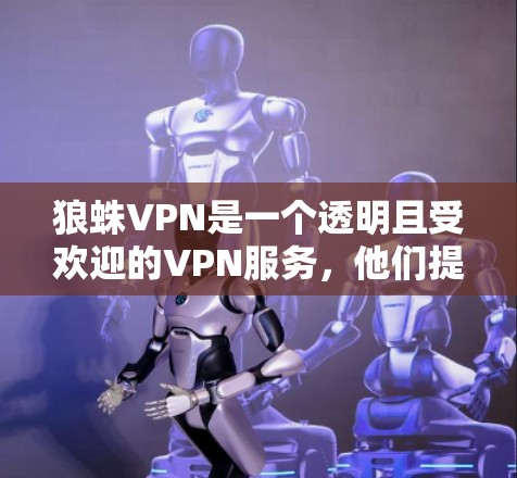 狼蛛VPN是一个透明且受欢迎的VPN服务，他们提供免费的试用版本和一些高级功能，但测速数据通常不公开。以下是关于狼蛛VPN全球测速的详细分析