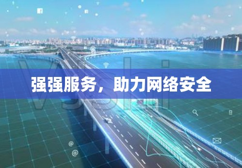 强强服务,助力网络安全 强强服务,助力网络安全
