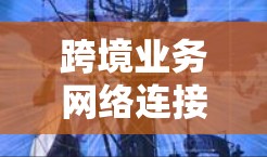 跨境业务网络连接是企业实现国际业务的重要工具，通过良好的网络连接，企业可以更高效地进行物流、运输和金融活动，降低成本，提高效率。以下是对这一概念的详细总结