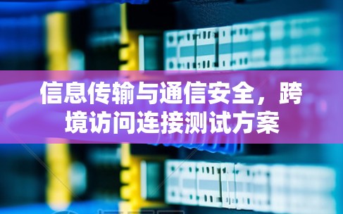 信息传输与通信安全，跨境访问连接测试方案