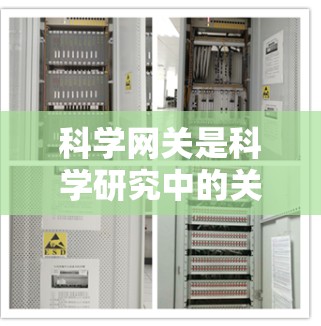 科学网关是科学研究中的关键工具，通过自动处理复杂的计算和数据处理，提升效率，减少出错率，提高用户的使用体验。以下是关于科学网关的详细总结