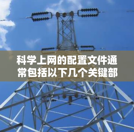 科学上网的配置文件通常包括以下几个关键部分